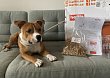 Recenze: Náš pes vyzkoušel granule na míru. Můžete do nich přidat i hmyz