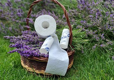 Rulička od spotřebovaného toaletního papíru má překvapivé možnosti využití na zahradě i v dětském pokoji