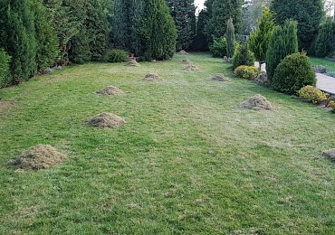 V dubnu je nejvyšší čas připravit trávník na novou sezónu