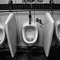 „Udělali si z mé kavárny veřejné záchodky, nevím, co s nimi,“ stěžuje si kavárník z Prahy